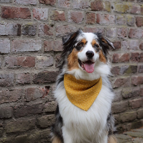 Hundehalstuch Musselin gelb-weiß gepunktet | Halstuch für Hunde | Bandana | Personalisiert | Personalisierung | Name