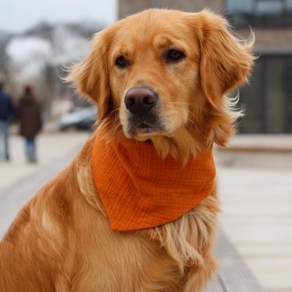 Musselin Hundehalstuch unifarben | Frühlingskollektion | Halstuch für Hunde | Bandana | Personalisiert | Name | orange