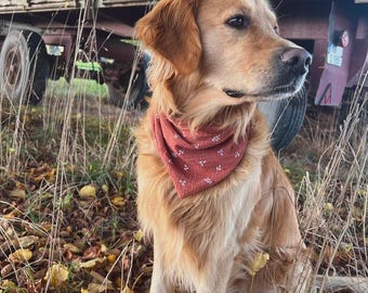 Muslin dog bandana small branches | Bandana for dogs | Flowers | Bandana | Personalization | Personalized | Name | taupe | rust red
