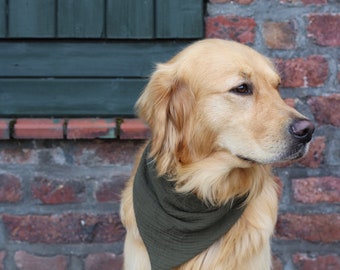 Musselin Hundehalstuch khaki | Halstuch | Bandana | personalisiert | personalisierbar | Hund | Welpe | herbstlich