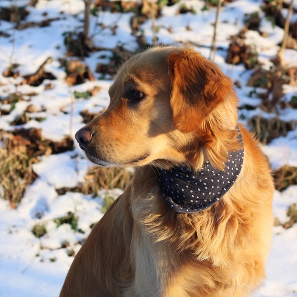 Halstuch navy blue-polka dot | Hundehalstuch | Halstuch | Musselin | Personalisiert | Personalisierung | Name