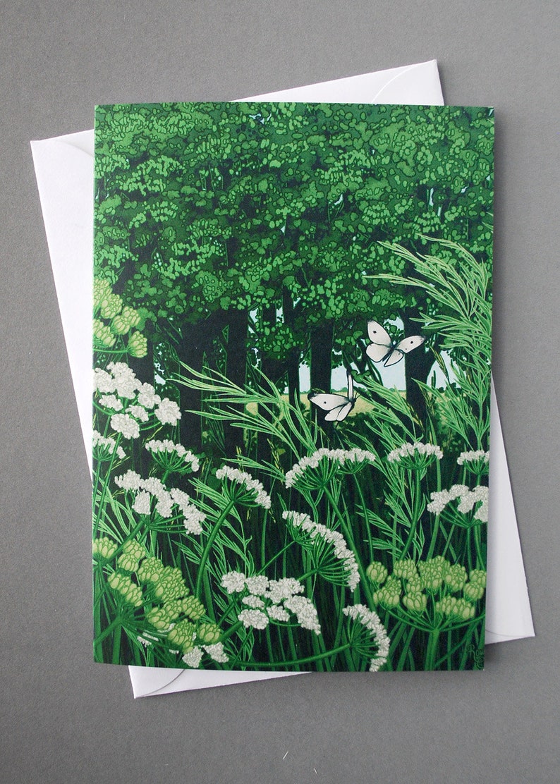 Wildflowers in the Countryside Greeting Cards - Blank Cards for Any ...