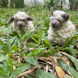 Felt Sheep Toy, Felted White Sheep, Felt Farm Animal, Animal Lover Gift, Cute Home Decor, Quirky Gifting, Handmade image 5