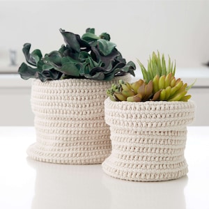 May include: Two white crocheted plant pots, one with a green leafy plant and the other with a succulent plant.