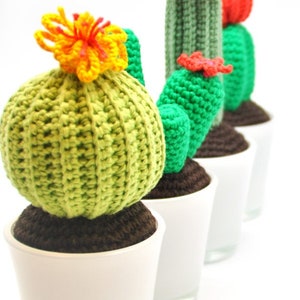 Cactus crochet-crochet-cactus-cactus bundle-instant download