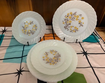 Termocrisa Opaque Glass Side & Dinner Plates