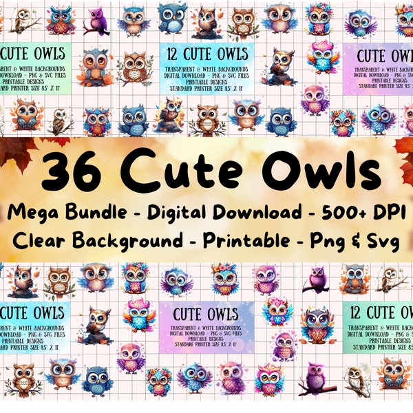 Clear Picture Background Removed Cute Owl Clipart Bundle Vibrant Colors Images of Sublimation Clipart Pack Colorful Owls