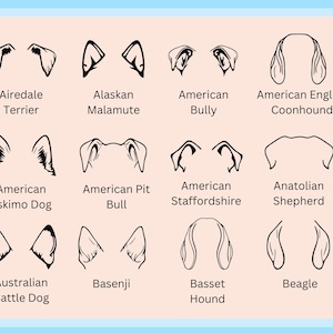 Custom Dog Ears Vinyl Car Decal Svg Cut File Bundle for Cricut Dogs Ears Png Bundle, Custom Dog Ear Bundle For Cricut