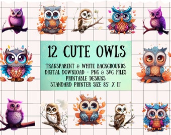 Clear Picture Background Removed Cute Owl Clipart Bundle Vibrant Colors Images of Sublimation Clipart Pack Colorful Owls