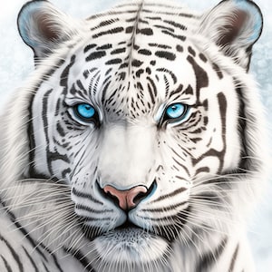 White Tiger With Blue Eyes Digital Print High Quality 300 DPI