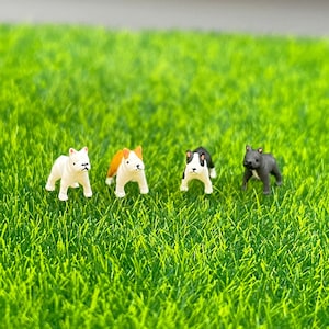 以下が含まれることがあります： 緑の芝生の上に立っている、異なる色の犬のミニチュアフィギュア4体。犬は白、オレンジ、白黒、グレーです。