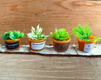 Pode incluir: Quatro plantas em miniatura em vasos com diferentes tipos de vegetação. Os vasos são laranja e têm etiquetas pretas com texto branco. As etiquetas dizem "Mini Dollhouse Toy", "Mini Ornament", "Flower" e "Mini Dollhouse Flower".