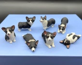 Miniature 1:12 Scale Corgis. Black and White Corgi Dog. Puppy