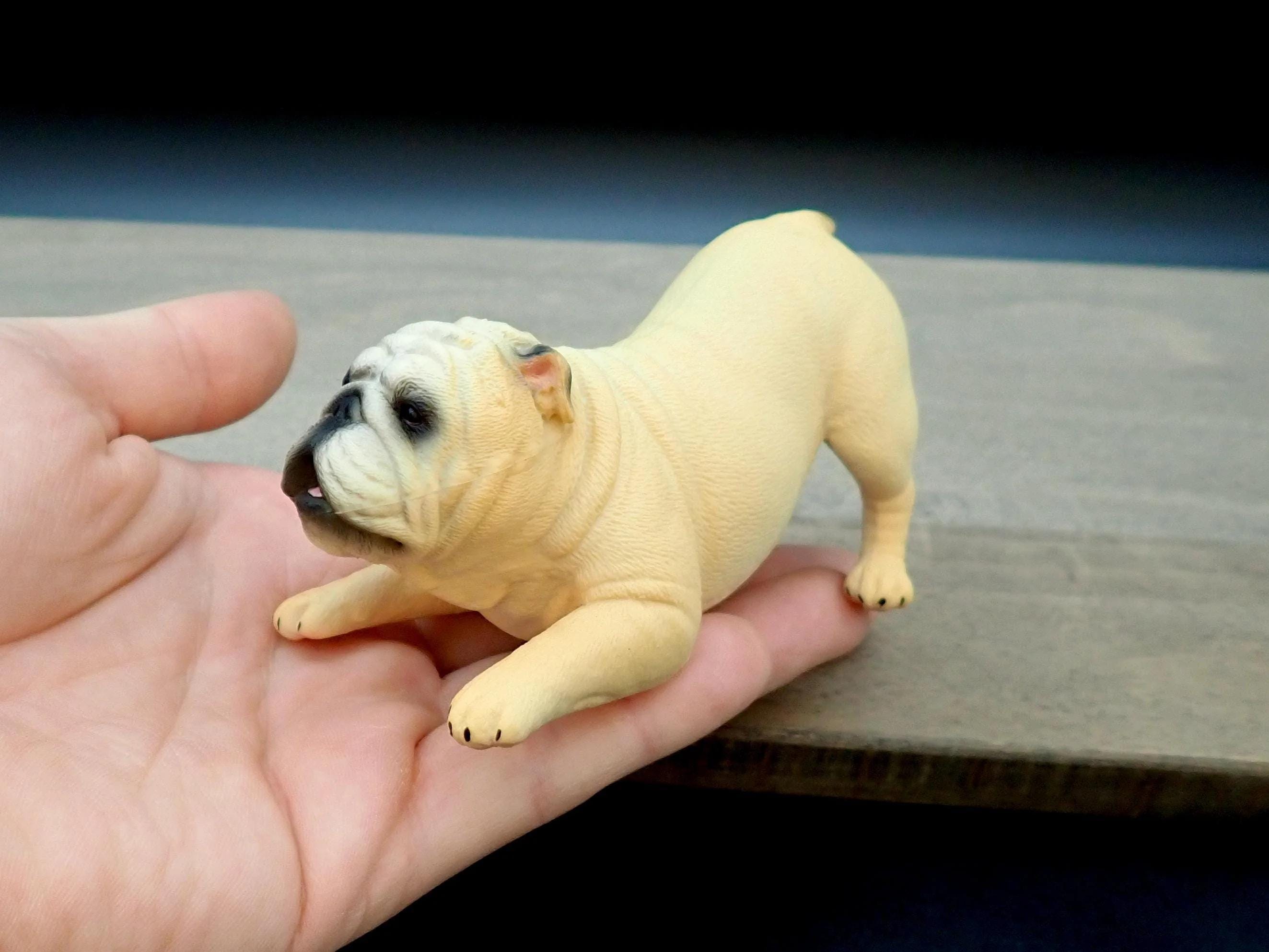 Miniature English Bulldog Models. Sleeping and Playing. 1:6 Scale
