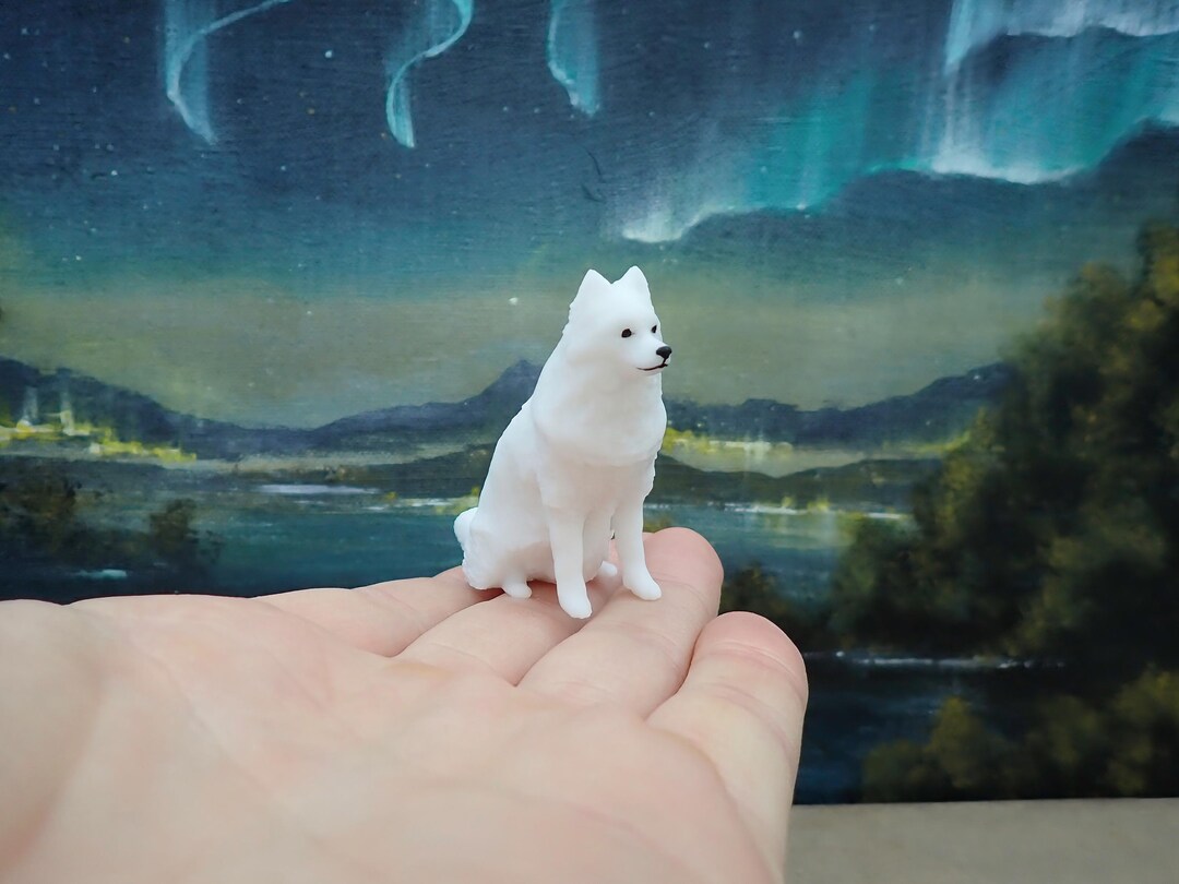 Miniature Samoyed / Spits / Eskimo Dog. White Fluffy Puppy Model ...