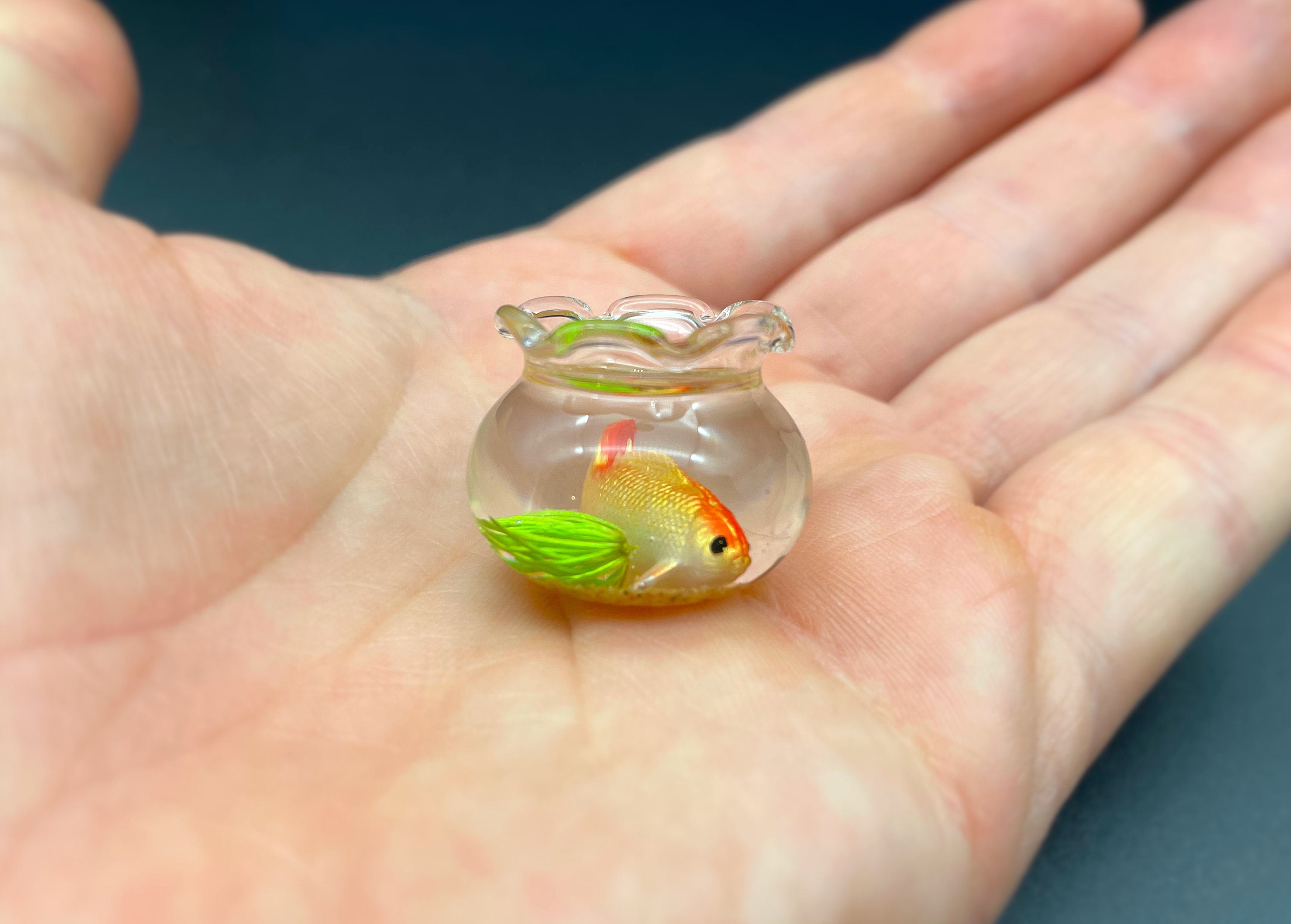 HEMOTON Set di 2 accessori in miniatura per la casa delle bambole 1:12 in vetro per serbatoio di pesce decorazione per la casa delle bambole decorazione da scrivania