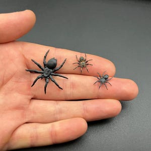 Ragno tarantola. Miniatura in scala 1:12 o 1/6. Creatura di plastica realistica in miniatura.