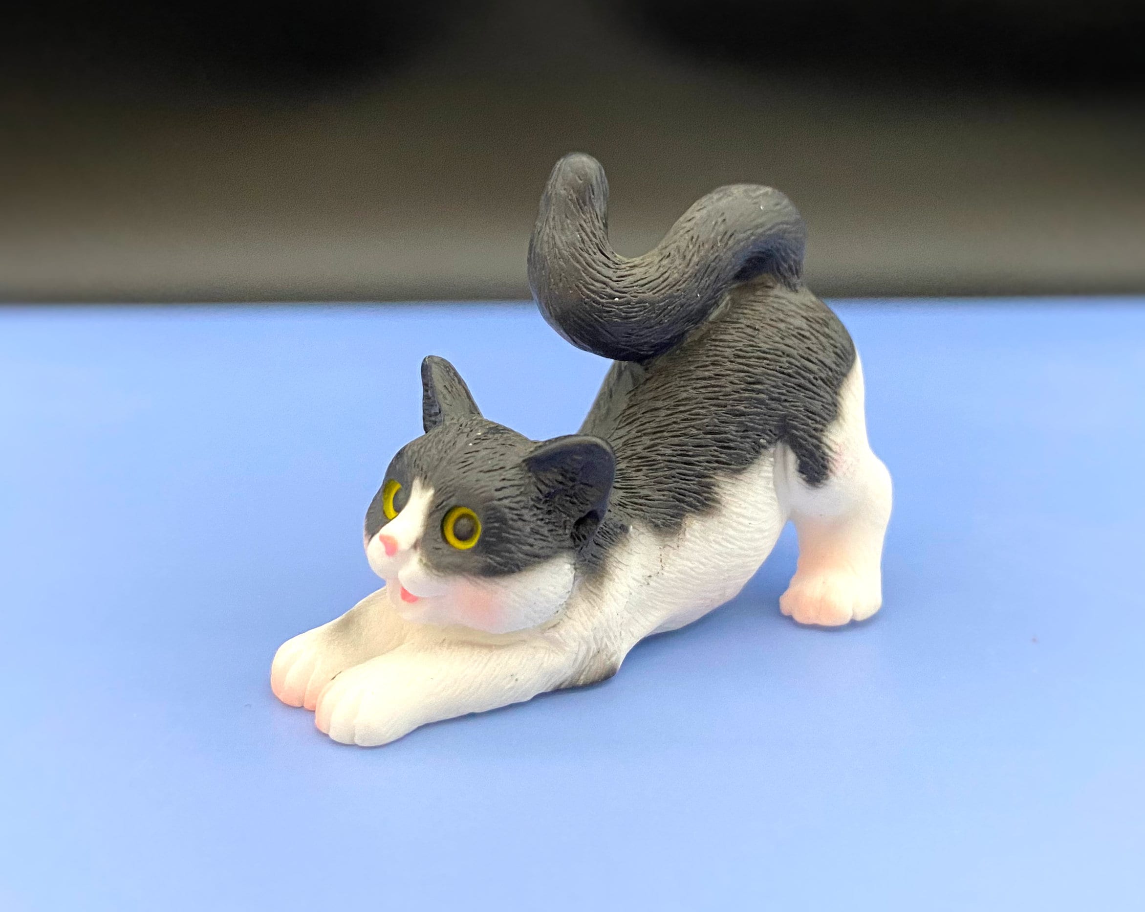 Gatti In Miniatura Scatola Di Buste Per Cibo Per Gatti Friskies