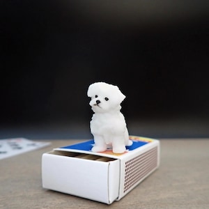 Könnte beinhalten: Eine kleine, weiße Bichon Frise-Hundefigur sitzt auf einer offenen Streichholzschachtel. Der Hund hat schwarze Augen und ein flauschiges Aussehen. Die Streichholzschachtel ist weiß mit einem blau-gelben Design und einer braunen Reibefläche.