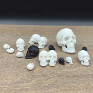 Miniatur Menschliche Schädel. Realistische Kunststoff-Repliken
