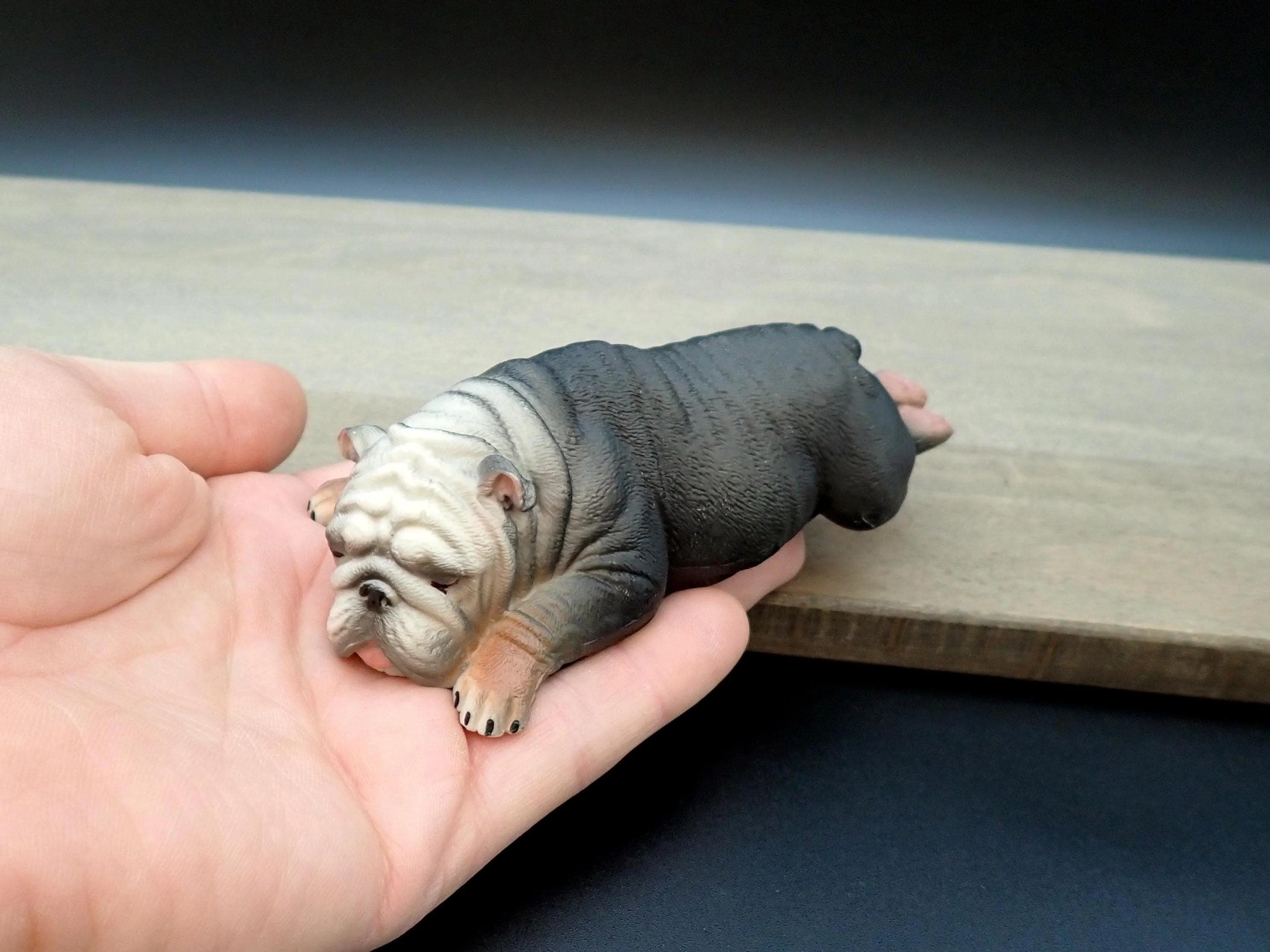 Miniature English Bulldog Models. Sleeping and Playing. 1:6 Scale