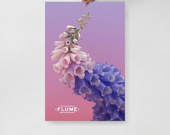 Flume Skin Album Wall Art Poster