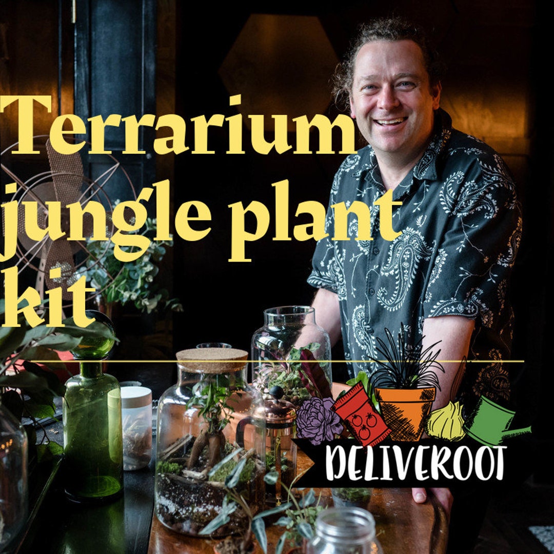 Terrarium Plant Kit With a Large Terrarium Jar, 4 Plants, Mosses and
