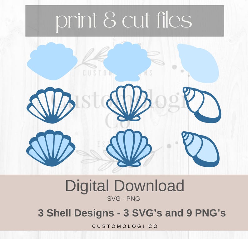 Sea Shells SVG PNG | Coastal Clip Art (digital Download) - Etsy