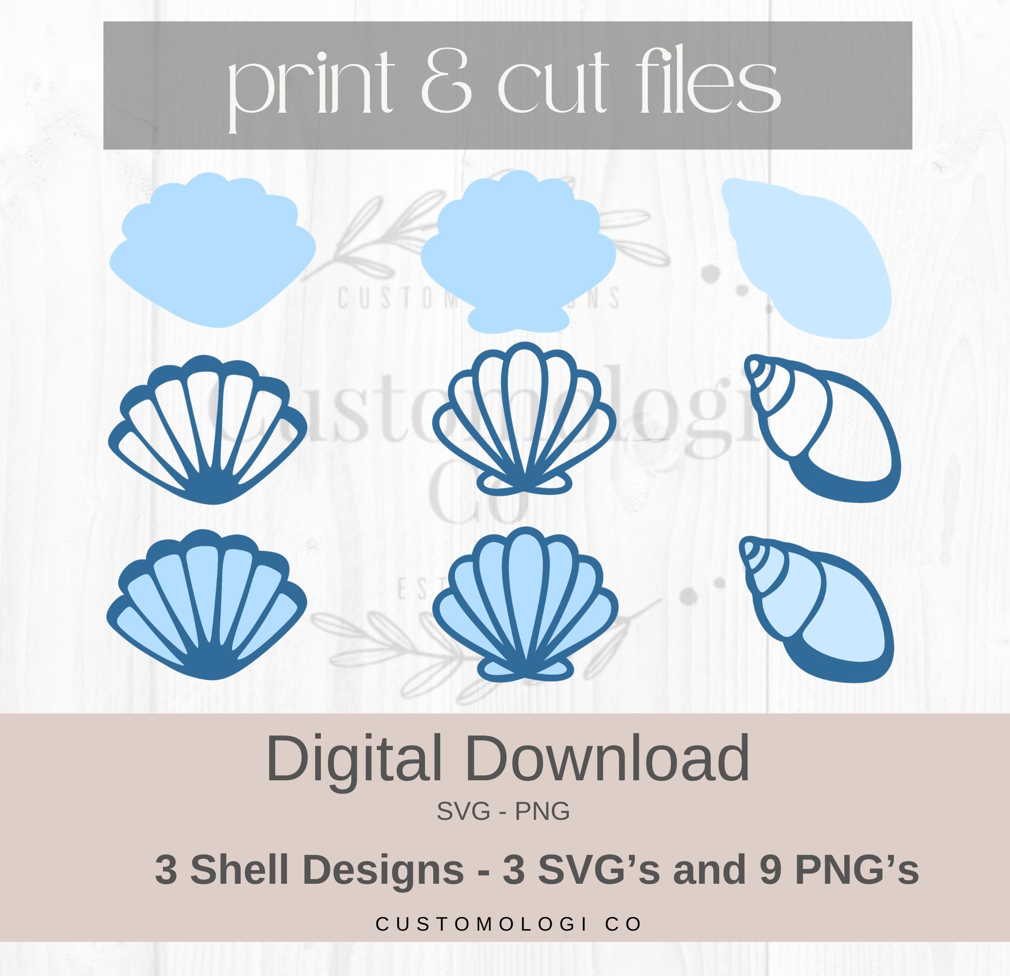 Sea Shells SVG PNG | Coastal Clip Art (digital Download) - Etsy