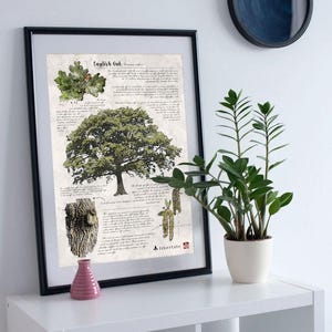 Póster de papel 100 % reciclado con diseño de roble inglés: arte mural sostenible (30 cm x 42 cm)