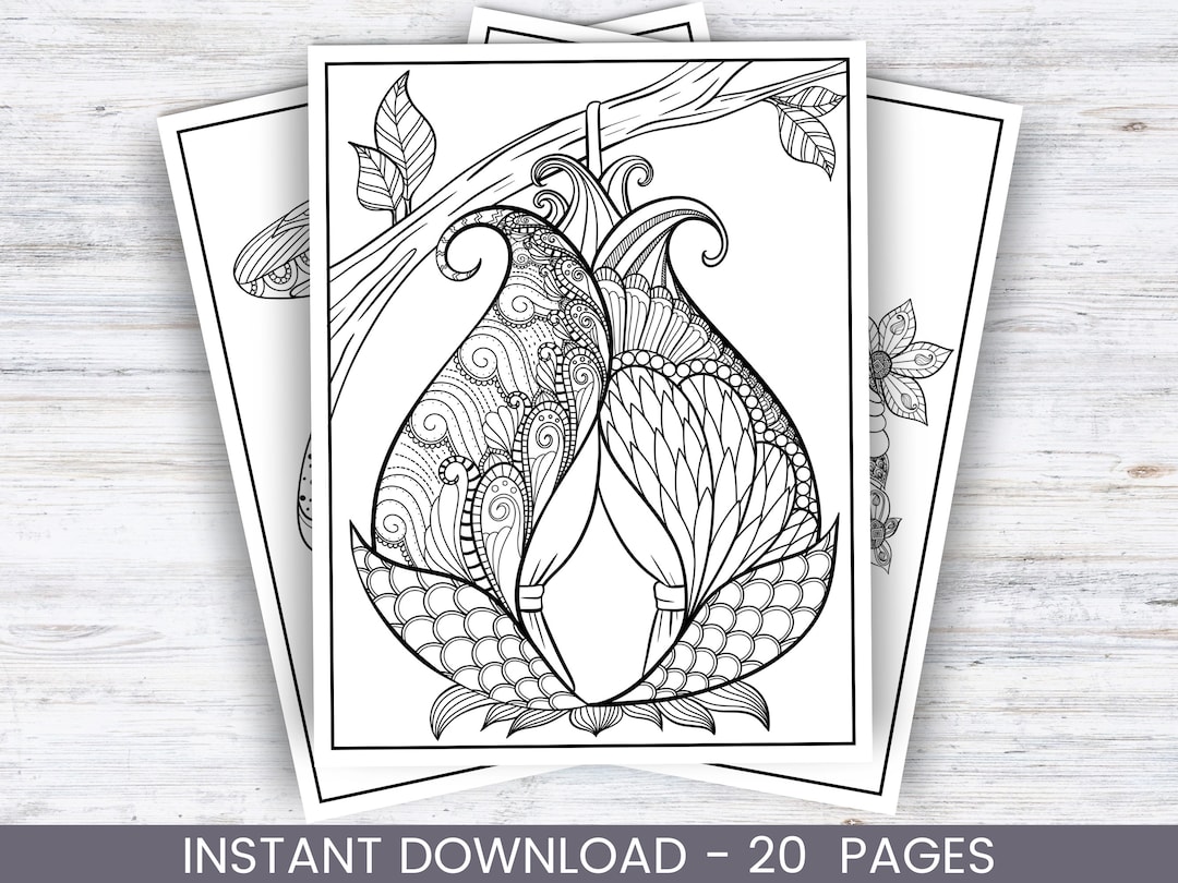 Fairy House Coloring Pages Kids Coloring Pages Printable - Etsy