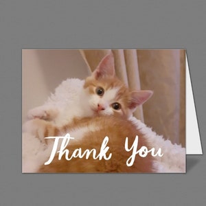 Ginger Cat, Half Bengal, Bedankkaart, Kartonnen kaart met envelop, Notelets, Notecard, Ginger cat lovers, op zoek naar kat,