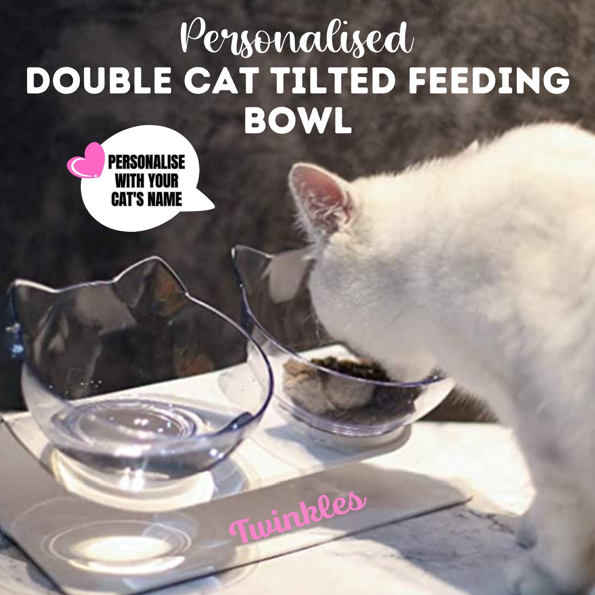 CEEFU 2 Extra Wide Raised Cat Food Bowl, Elevated Anti-Vomiting Cat Feeder  Whisker Stress-Free Dog Two Bowls Ceramic Cat Feeding Bowls White