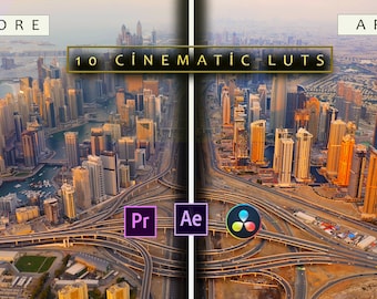 10 LUT cinematografiche Desert , Adobe Premiere Pro LUTs Pack, Video Editing Luts Final Cut Pro, Preset video per DaVinci Resolve Vlog