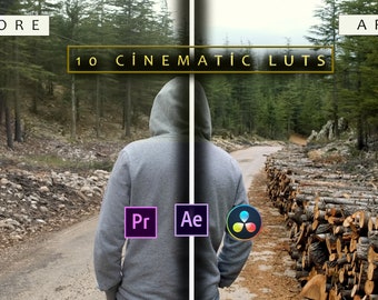 10 LUT morbide cinematografiche Color Grading Video e foto per dispositivi mobili e desktop // Adobe After Effects / Premiere Pro // Photoshop // Final Cut