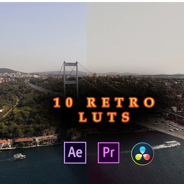 10 Cinematic Film LUTs for Video Editing, Professional Color Grading LUTs for Filmmakers, Adobe Premiere Pro, Final Cut Pro, DaVinci Resolve