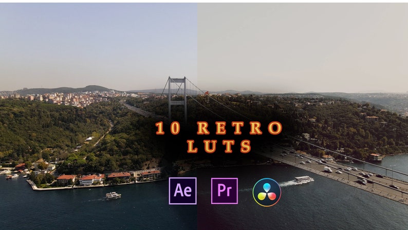 10 LUT cinematografiche per l'editing video, LUT professionali di color grading per registi, Adobe Premiere Pro, Final Cut Pro, DaVinci Resolve immagine 1