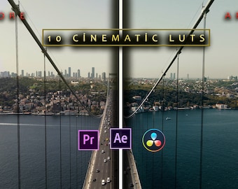 LUT cinematografiche per film retrò, editing video, LUT professionali di color grading per registi, Adobe Premiere Pro, Final Cut Pro, DaVinci Resolve