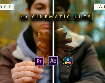 LUT cinematografiche Video Editing, LUT professionali Color Grading per registi, Adobe Premiere Pro, Final Cut Pro, DaVinci Resolve