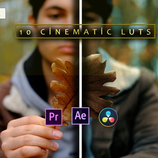 Cinematic Film LUTs Video Editing, Professional Color Grading LUTs for Filmmakers, Adobe Premiere Pro, Final Cut Pro, DaVinci Resolve