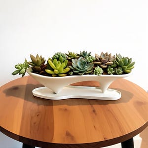 Peut inclure: Un pot blanc, moderne et sculptural, rempli de diverses succulentes. Le pot repose sur une base blanche assortie et est présenté sur une table ronde en bois avec des pieds noirs. Les succulentes sont vertes, jaunes et bleu-vert.