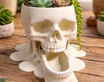 Peut inclure: Un pot de fleurs en forme de crâne de couleur crème avec une base fondue. Le crâne présente une mâchoire inférieure détachée reposant devant, des dents blanches et une dent dorée. Le sommet du crâne est rempli de diverses plantes succulentes.