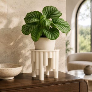 May include: A potted Calathea orbifolia plant with large, rounded, dark green leaves featuring prominent light green veins. The plant sits in a smooth, light beige pot resting on a white, cylindrical, multi-tiered pedestal stand.