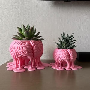 May include: Two pink brain-shaped planters, one large and one small, each holding a succulent plant. The planters have a unique design with a dripping effect at the base. The larger planter holds a green succulent, while the smaller one has a spiky plant.