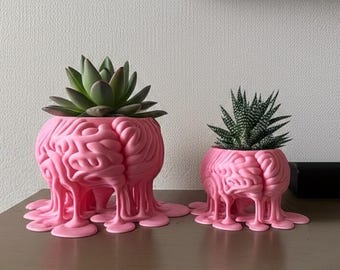 Puede incluir: Dos macetas rosas con forma de cerebro humano con una textura de goteo derretido en la base. Cada maceta contiene una planta suculenta verde. La maceta más grande está a la izquierda y la más pequeña a la derecha, ambas con intrincados relieves sinuosos.