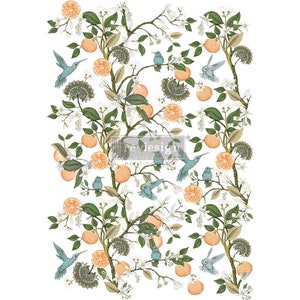 Transfert décoratif Orange Grove par Redesign avec Prima