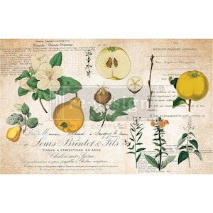 Primrose Decoupage Paper by Redesign with Prima