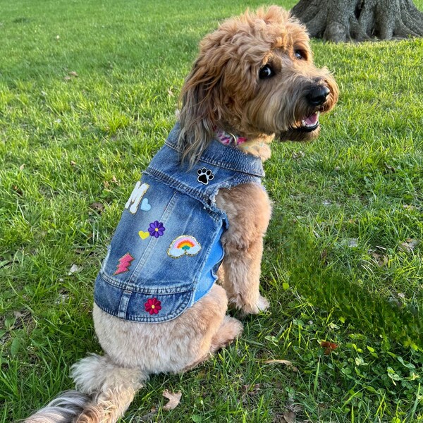 Monogram Denim Dog Vest, Custom Dog Jacket, Personalized Dog Jean Jacket for Teacup to Mini Dogs, Blue Jean Dog Denim for Small Dog or Cat