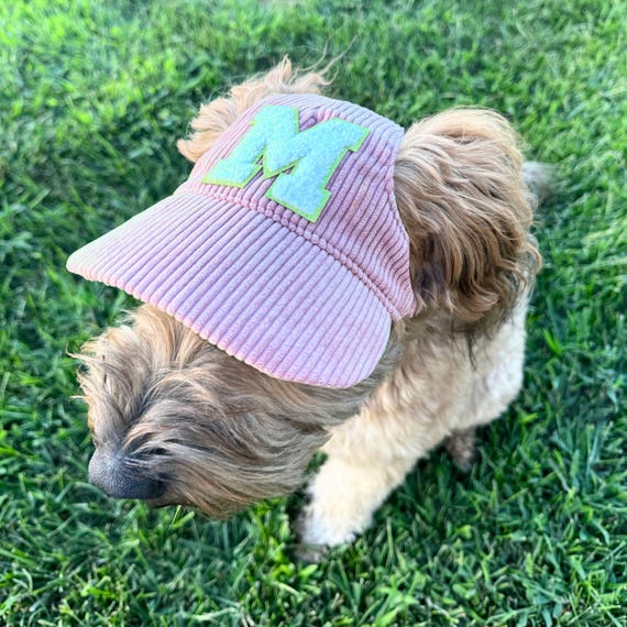 Custom Corduroy Hat for Teacup to Large Dog or Cat, Personalized w Puppy Monogram, Sage Green or Pink Dog Baseball Hat, Gift for Pet Parent