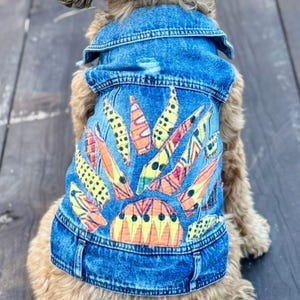 May include: A blue denim dog jacket with a colorful sunburst design on the back. The sunburst features yellow, orange, and red patterns. The jacket has a collar and button details, offering a stylish look for pets.